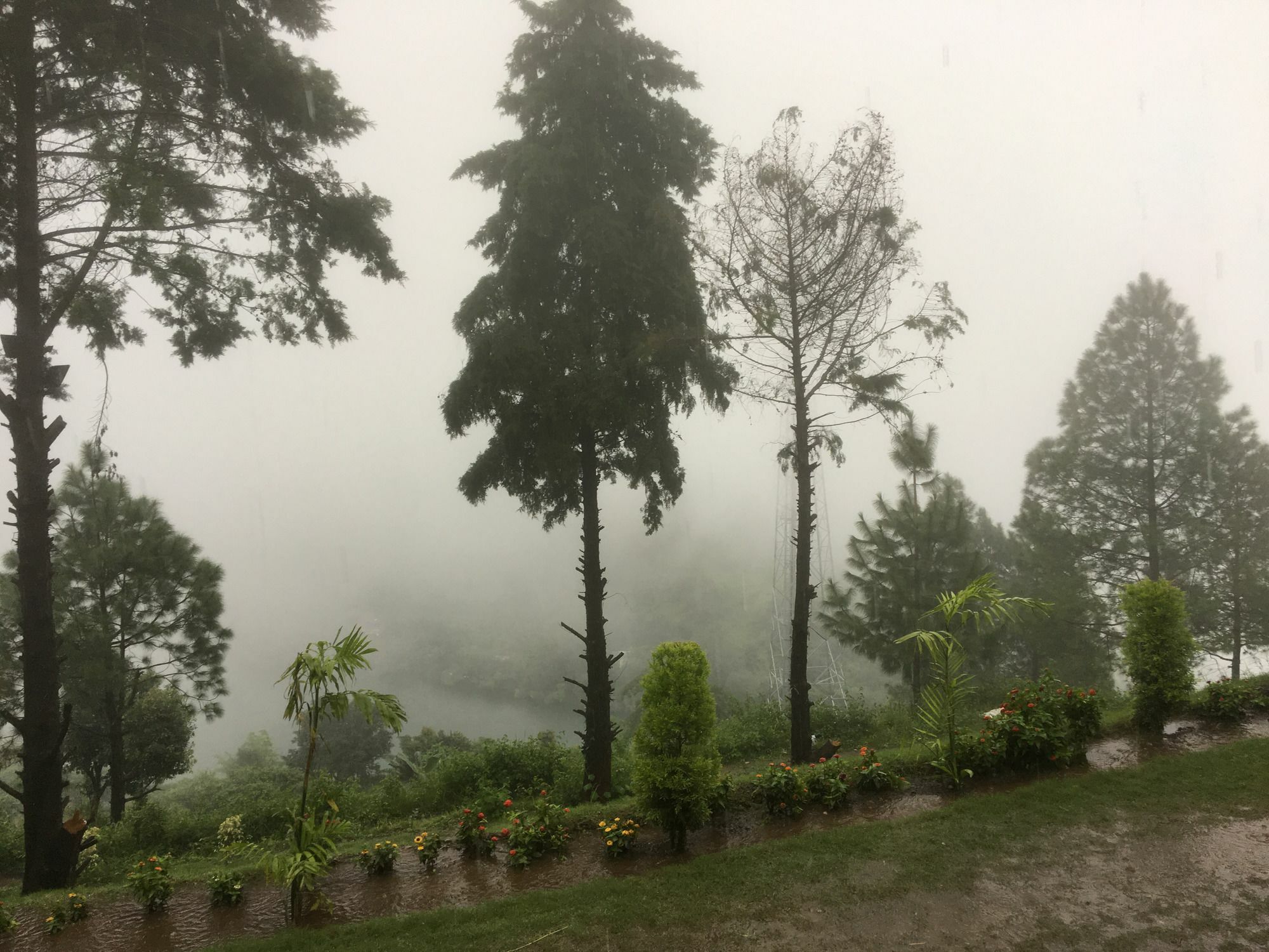 Nainital Adventure Park & Resort Exterior foto